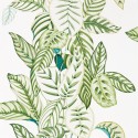 Calathea Botanical Green 216630