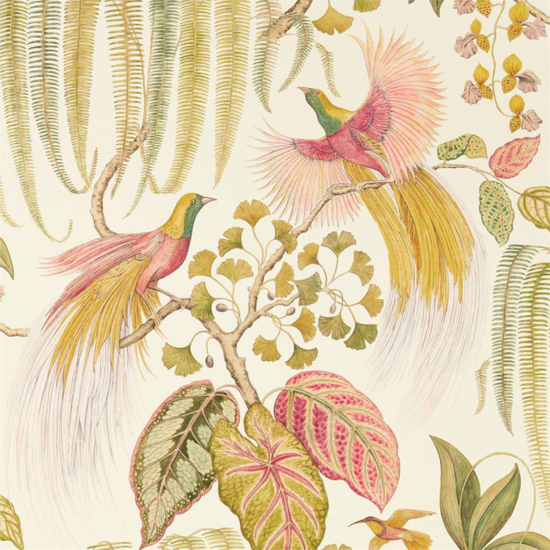Bird Of Paradise Olive 216653