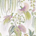 Bird Of Paradise Orchid  216654