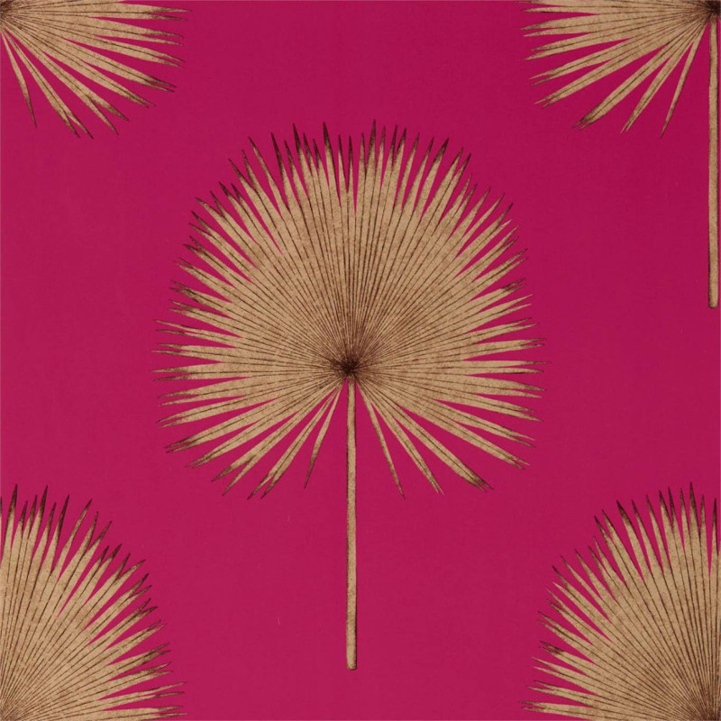 Fan Palm Rhodera / Gilver  216638