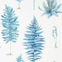 Fernery China Blue  216635