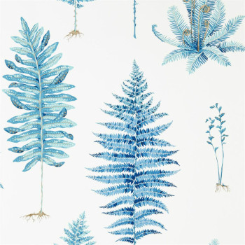 Fernery China Blue  216635