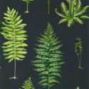 Fernery Botanical Green / Charcoal 	216634