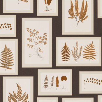 Fern gallery charcoal 215713
