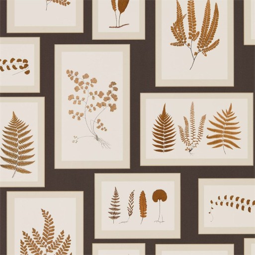 Fern gallery charcoal 215713