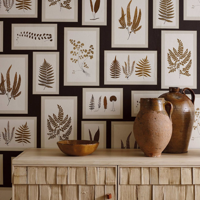 papier peint fern gallery