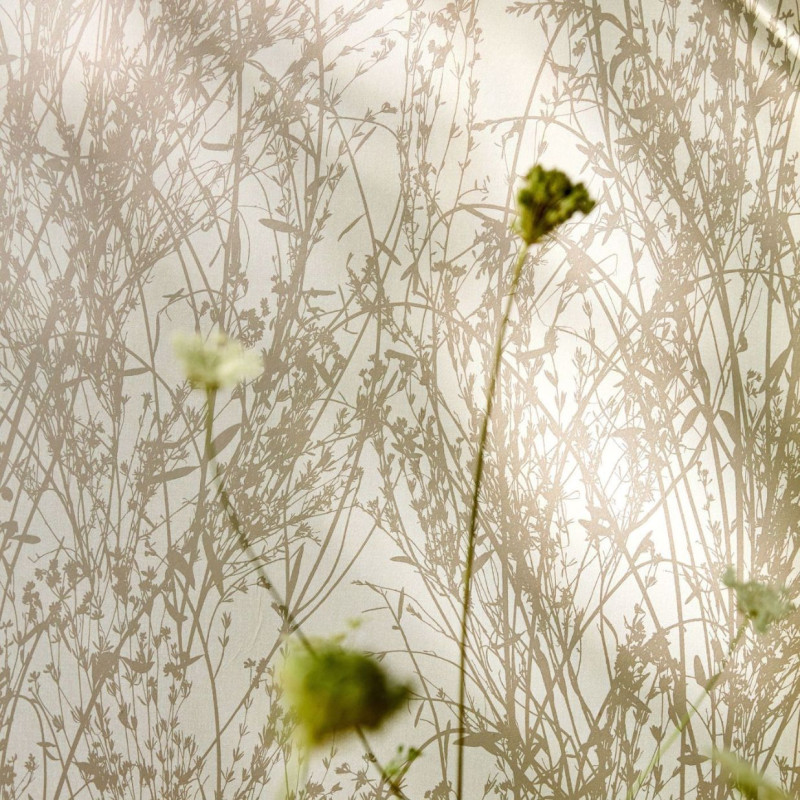 papier peint Meadow