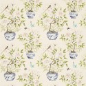 Romey's Garden Blossom 321442