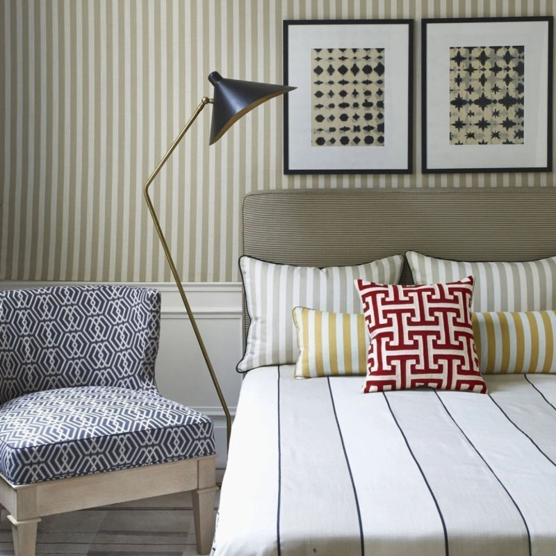 tissu cassidie