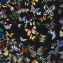 Butterfly Parade FCL025/03