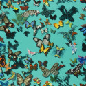Butterfly Parade FCL025/04