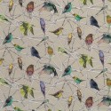 Tissu Aviary Multicouleur F7011-02
