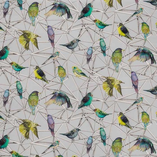 Tissu Aviary Turquoise Chartreuse Violet F7011-01