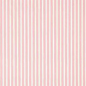 New Tiger Stripe Rose/Ivory