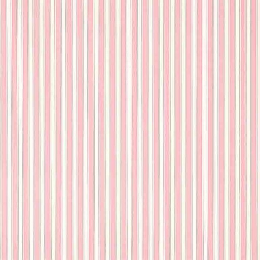 New Tiger Stripe Rose/Ivory