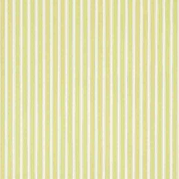 New Tiger Stripe Linden/Ivory