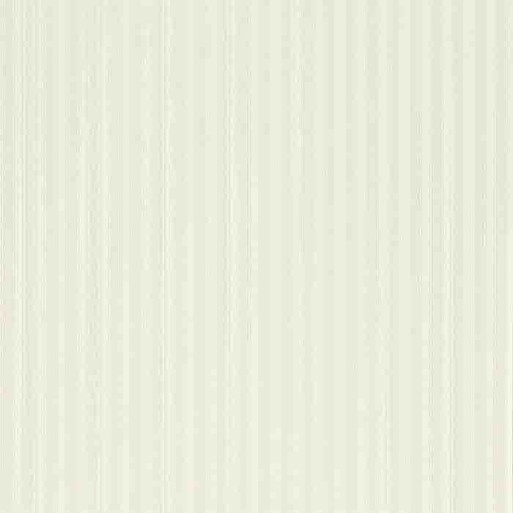 New Tiger Stripe Shell/Ivory