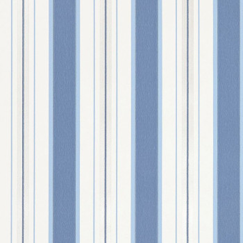 Peruzzi Stripe Indigo W7982-06