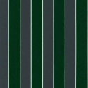 Regency Stripe W7780-01