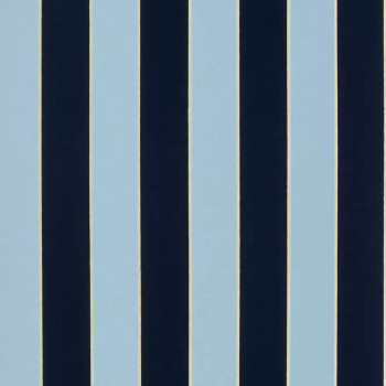 Regency Stripe W7780-04