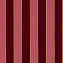Regency Stripe W7780-13