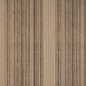 Maroni Chocolat FP129001