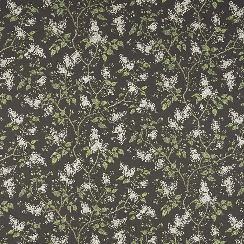 Les Lilas Terre BP354004