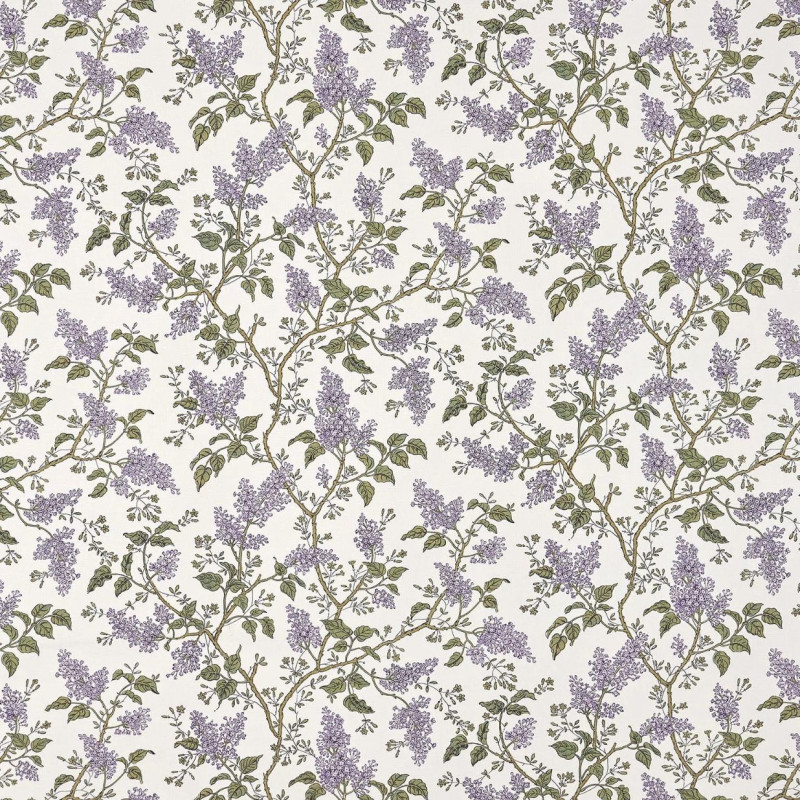 Les Lilas Mauve BP354002