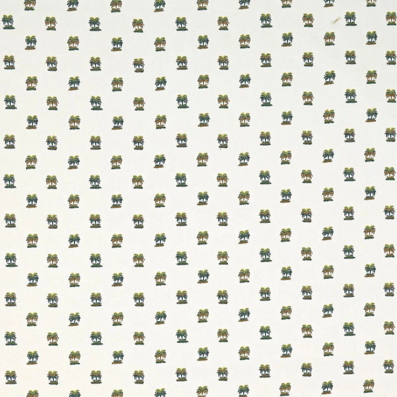 Les palmiers de comoglio Palmeraie BP359001