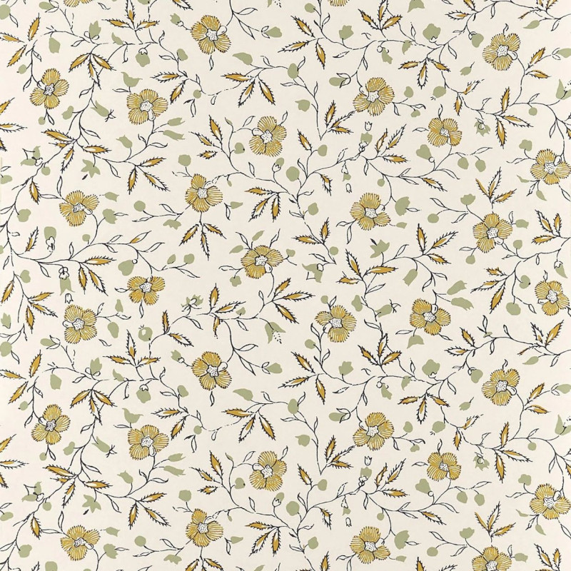 Marigold Cumin BP363002