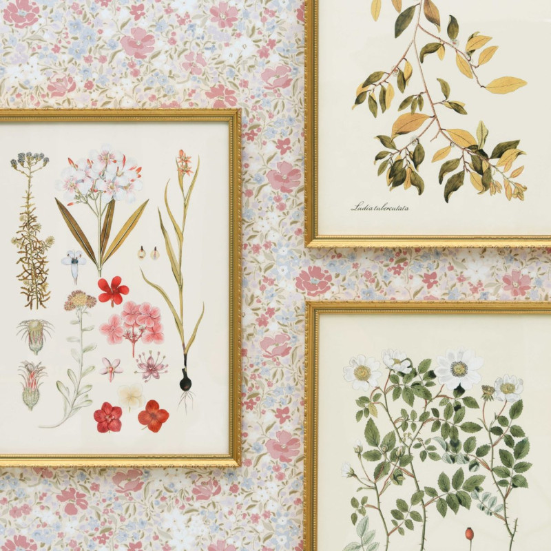 papier peint fleurettes lelièvre