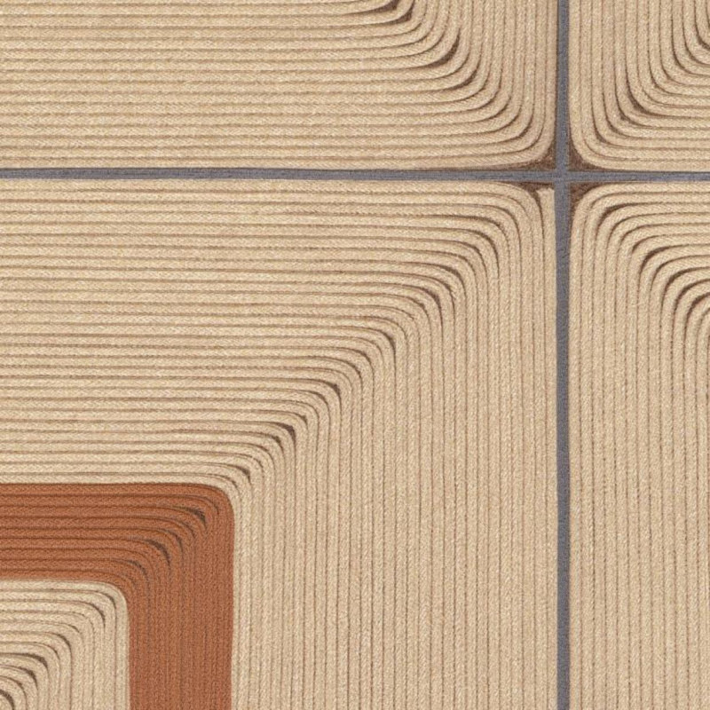 Maîtriser les cordes VP 996 01