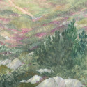Le Sentier des Douaniers  DOM5001