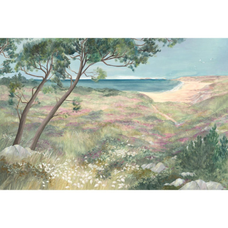 Le Sentier des Douaniers  DOM5001