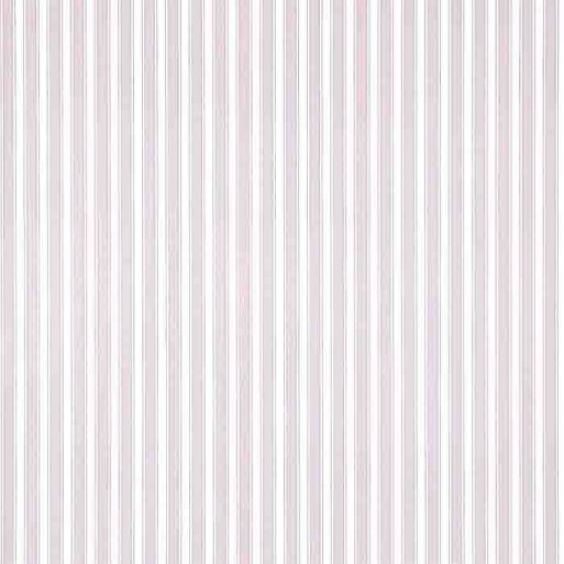 New Tiger Stripe Lavender/Ivory