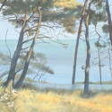 Entre les pins DOM5005