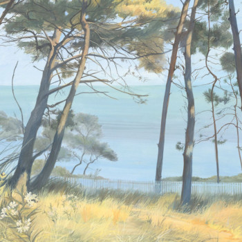 Entre les pins DOM5005