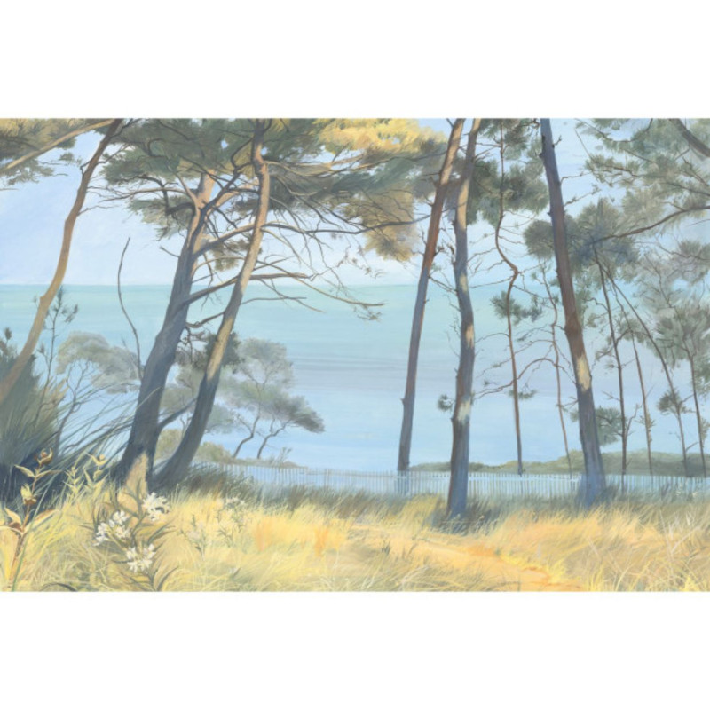 Entre les pins DOM5005