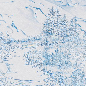 La Vallée des Bleuets  DOM5009