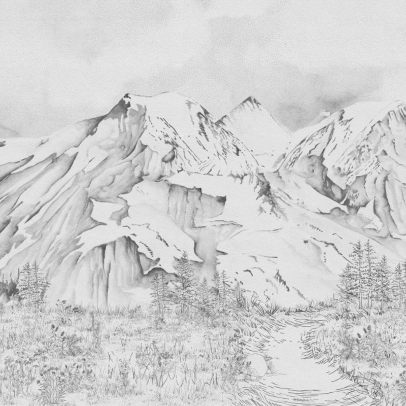 La Vallée des Bleuets Noir & Blanc DOM5010