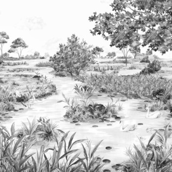 Les Marais des Aigrettes Noir & Blanc DOM5012