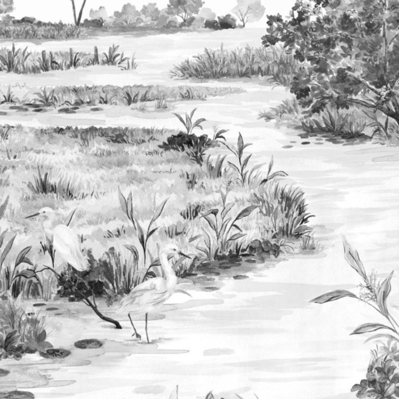Les Marais des Aigrettes Noir & Blanc DOM5012