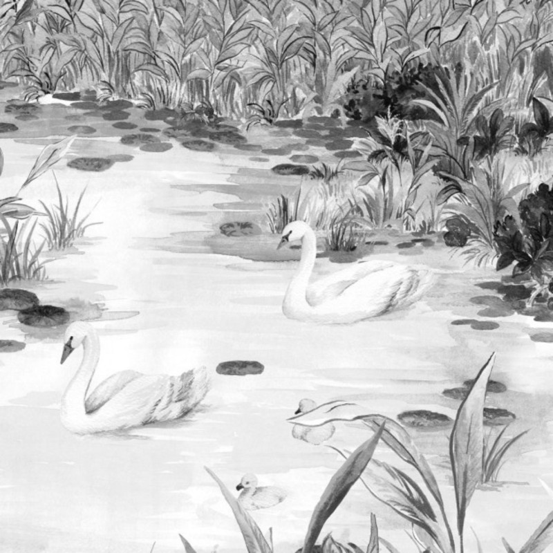 Les Marais des Aigrettes Noir & Blanc DOM5012