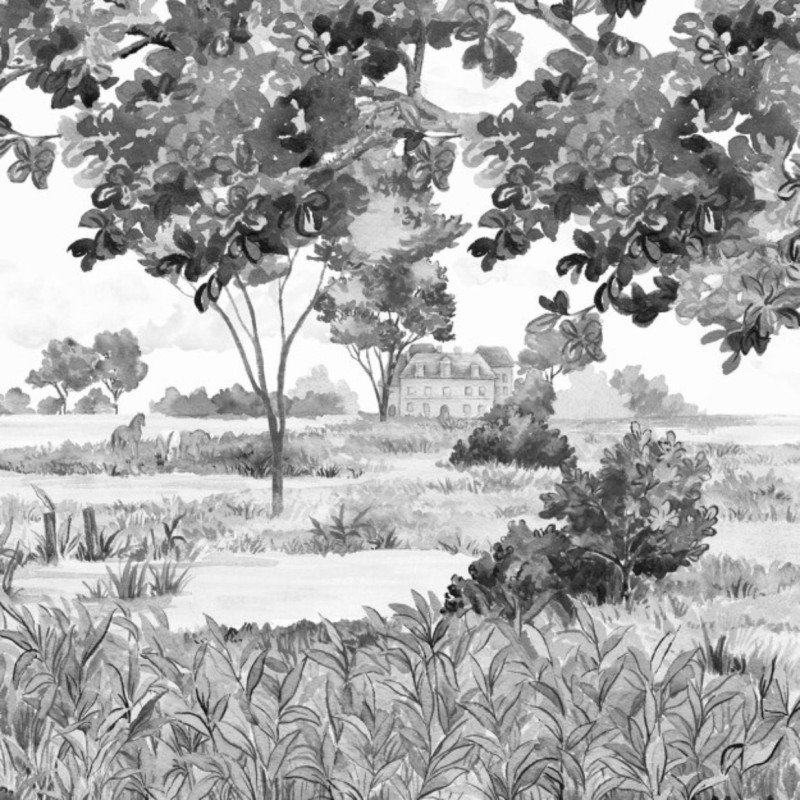Les Marais des Aigrettes Noir & Blanc DOM5012