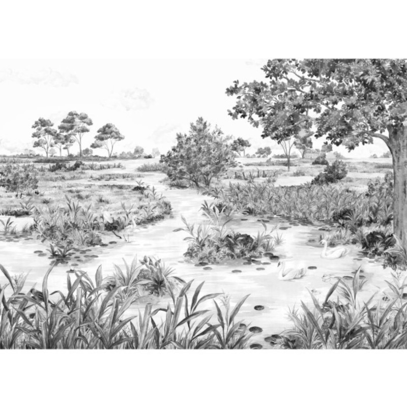 Les Marais des Aigrettes Noir & Blanc DOM5012