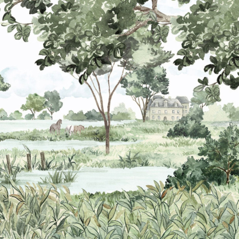 Les Marais des Aigrettes DOM5013