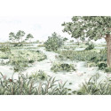 Les Marais des Aigrettes DOM5013