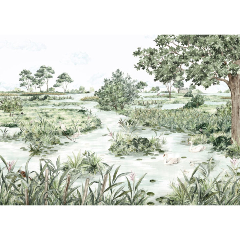 Les Marais des Aigrettes DOM5013