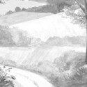 L'Orée du bois Noir & Blanc  DOM5016