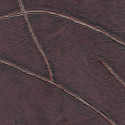Attiser sa curiosité VP 1004 31